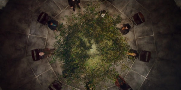 An over head shot of a tree growing in the center of a group of people