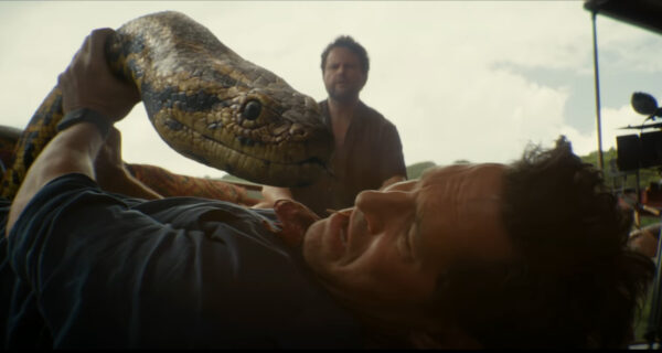 A large snake perches on a recoiling man's chest as he writhes away on the ground